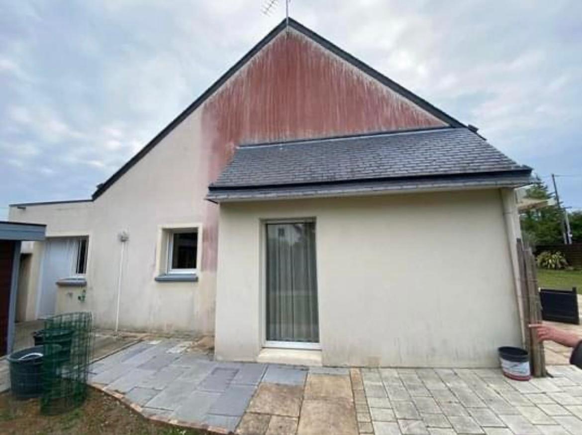 Façade envahie par la mousse avant nettoyage